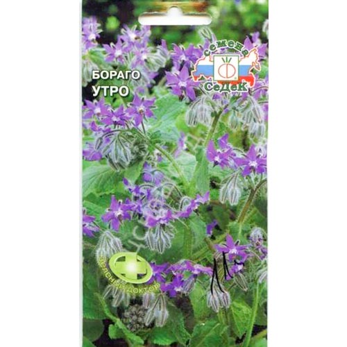 Бораго (огуречная трава) Утро Седек изображение 1 артикул 93294