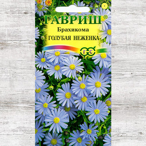 Брахикома Голубая неженка Гавриш артикул фото 1 Брахикома Голубая неженка Гавриш изображение 1 артикул 73813