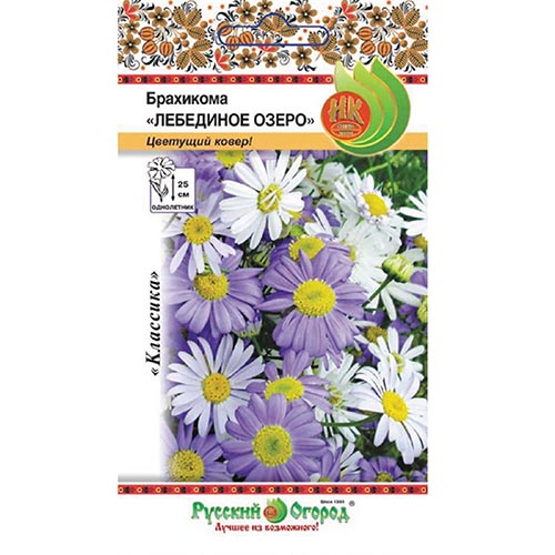 Брахикома Лебединое озеро, смесь окрасок НК изображение 1 артикул 92470