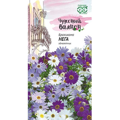 Брахикома Нега, смесь окрасок Гавриш изображение 1 артикул 91976