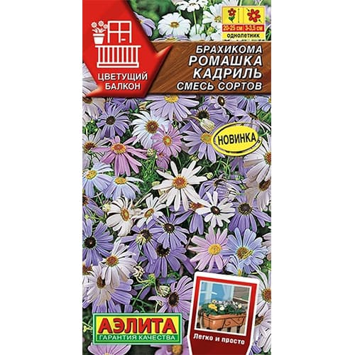 Брахикома Ромашка кадриль, смесь окрасок Аэлита изображение 1 артикул 40308