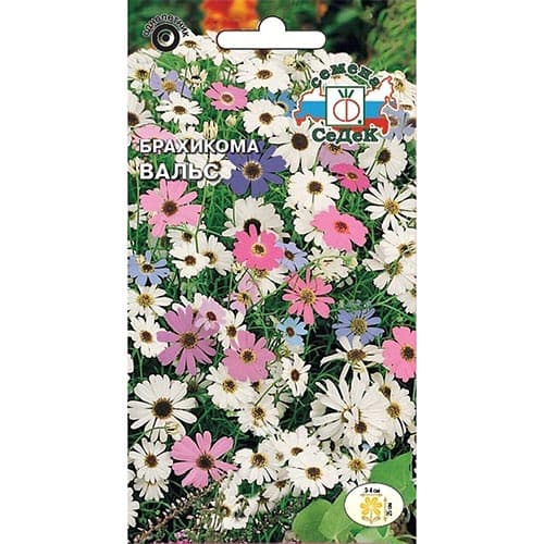 Брахикома Вальс, смесь окрасок Седек изображение 1 артикул 93680