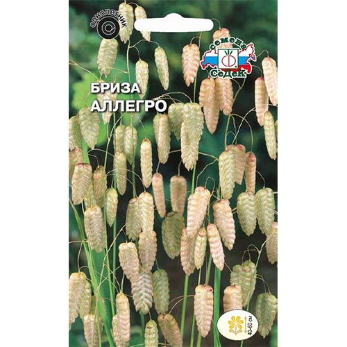 Бриза Аллегро Седек изображение 1 артикул 93681