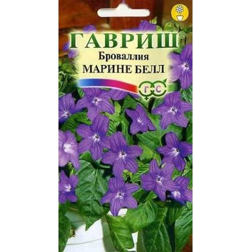 Броваллия Марине Белл Гавриш изображение 1 артикул 85583