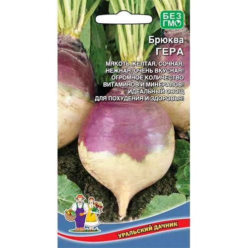 Брюква Гера Уральский дачник изображение 1 артикул 94478