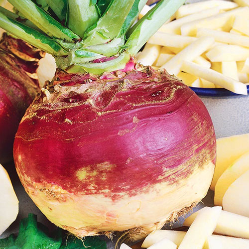 Брюква Русская десертная Уральский дачник изображение 1 артикул 83115