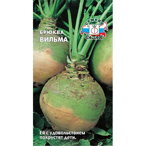 Брюква Вильма Седек изображение 1 артикул 93295