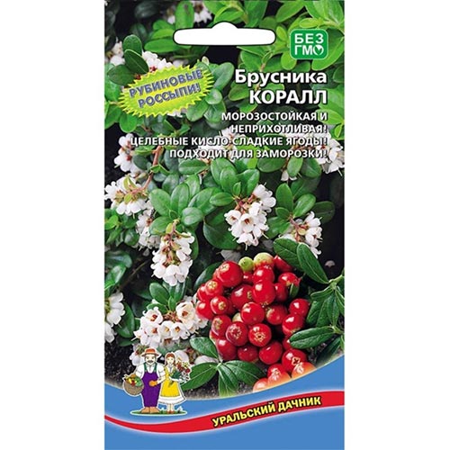 Брусника Коралл Уральский дачник изображение 1 артикул 94476