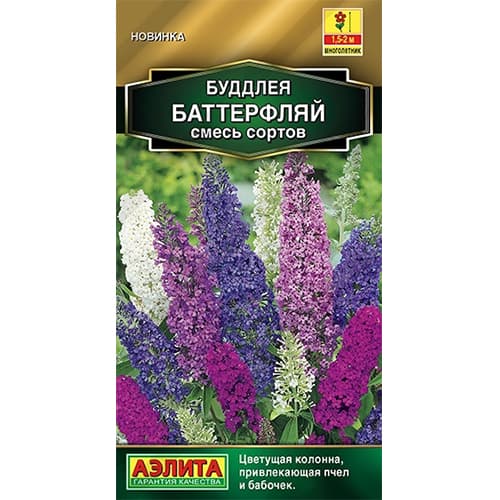 Буддлея Баттерфляй, смесь окрасок Аэлита изображение 1 артикул 40309