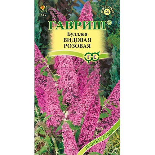 Буддлея Видовая розовая Гавриш изображение 1 артикул 91978