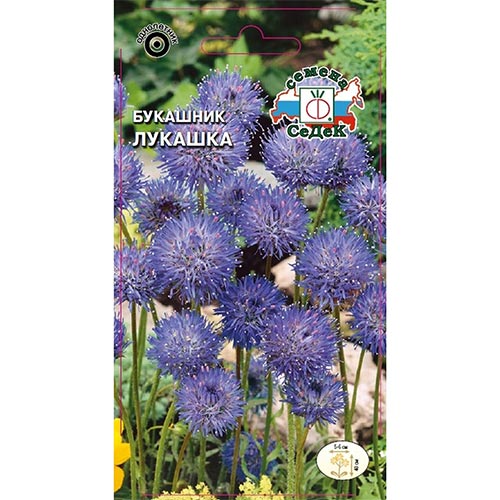 Букашник Лукашка Седек изображение 1 артикул 93682