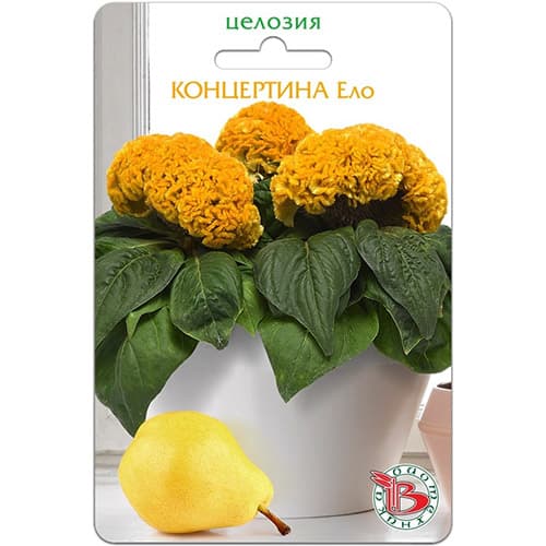 Целозия горшечная Концертина Ело Биотехника артикул фото 1 Целозия горшечная Концертина Ело Биотехника изображение 1 артикул 97351