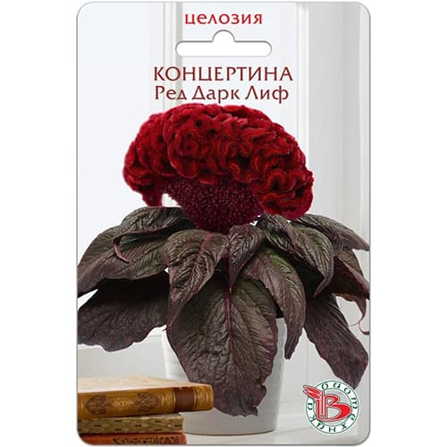 Целозия горшечная Концертина Ред Дарк Лиф Биотехника изображение 1 артикул 97354
