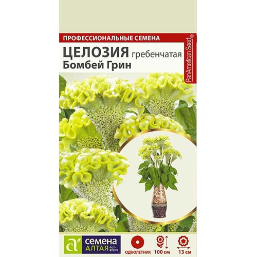 Целозия гребенчатая Бомбей Грин Семена Алтая изображение 1 артикул 94217