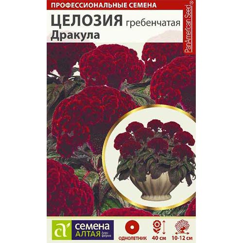 Целозия гребенчатая Дракула Семена Алтая артикул фото 1 Целозия гребенчатая Дракула Семена Алтая изображение 1 артикул 81811