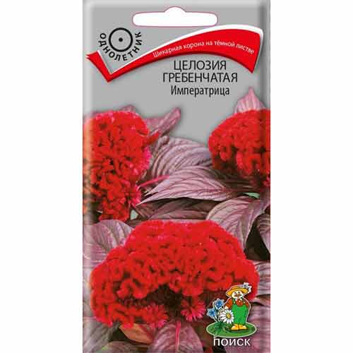 Целозия гребенчатая Императрица Поиск изображение 1 артикул 93144