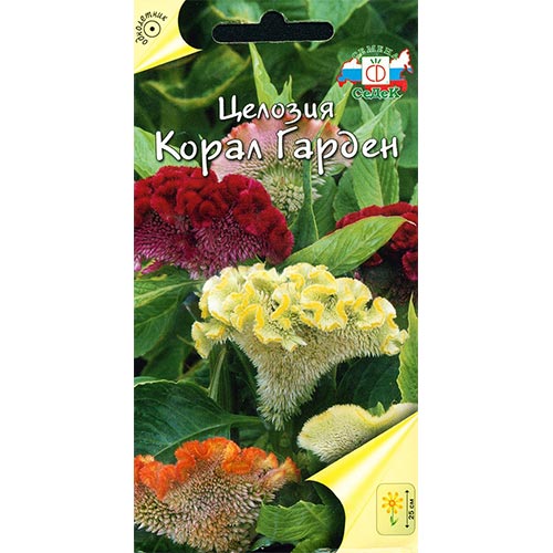 Целозия гребенчатая Корал Гарден, смесь окрасок Седек изображение 1 артикул 93997