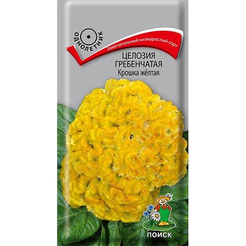 Целозия гребенчатая Крошка желтая Поиск артикул фото 1 Целозия гребенчатая Крошка желтая Поиск изображение 1 артикул 93145