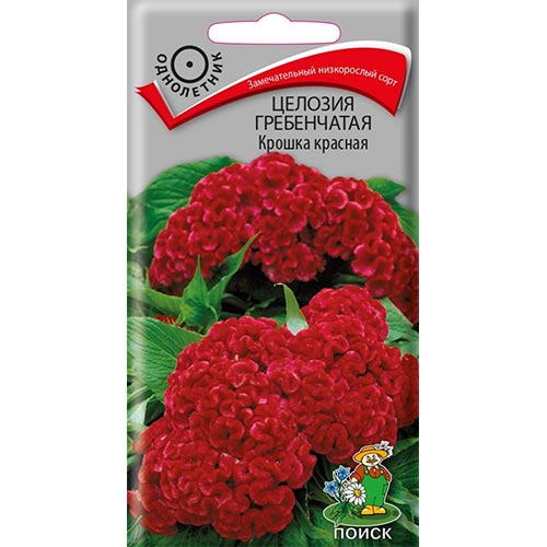 Целозия гребенчатая Крошка красная Поиск изображение 1 артикул 93146