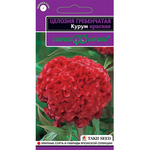 Целозия гребенчатая Курум красная Гавриш изображение 1 артикул 92246
