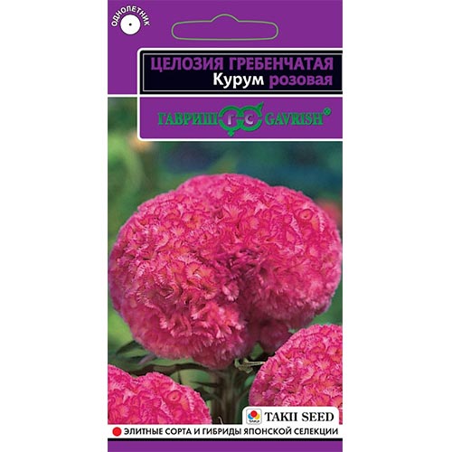 Целозия гребенчатая Курум розовая Гавриш артикул фото 1 Целозия гребенчатая Курум розовая Гавриш изображение 1 артикул 92247