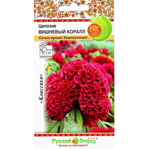 Целозия гребенчатая Вишневый коралл НК изображение 1 артикул 92644