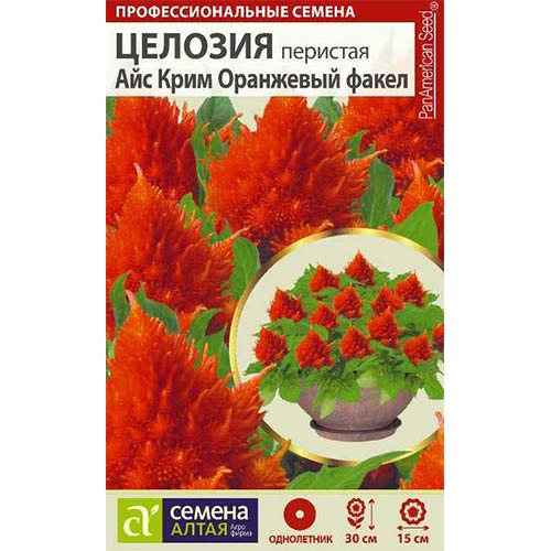 Целозия перистая Айс Крим Оранжевый факел Семена Алтая артикул фото 1 Целозия перистая Айс Крим Оранжевый факел Семена Алтая изображение 1 артикул 81810
