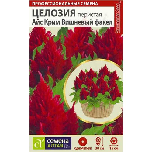 Целозия перистая Айс Крим Вишневый факел Семена Алтая артикул фото 1 Целозия перистая Айс Крим Вишневый факел Семена Алтая изображение 1 артикул 81809