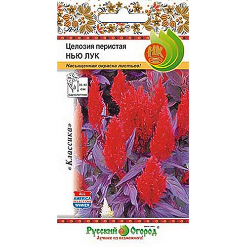 Целозия перистая Нью Лук НК изображение 1 артикул 92645