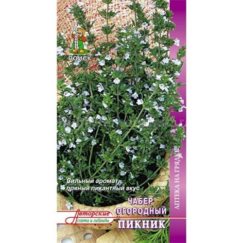 Чабер огородный Пикник Поиск изображение 1 артикул 92831