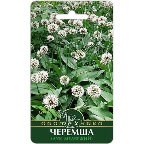 Черемша (лук медвежий) Биотехника артикул фото 1 Черемша (лук медвежий) Биотехника изображение 1 артикул 97288