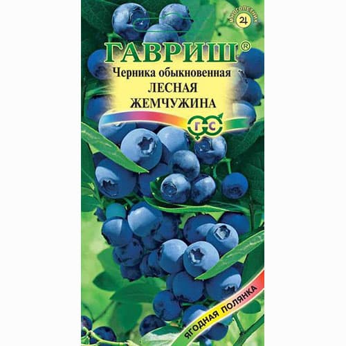 Черника обыкновенная Лесная жемчужина Гавриш артикул фото 1 Черника обыкновенная Лесная жемчужина Гавриш изображение 1 артикул 65258