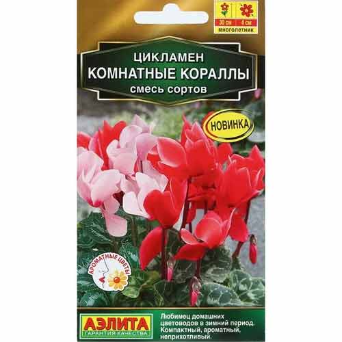 Цикламен Комнатные кораллы, смесь окрасок Аэлита артикул фото 1 Цикламен Комнатные кораллы, смесь окрасок Аэлита изображение 1 артикул 99181