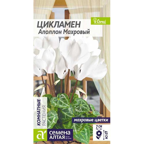 Цикламен махровый Аполлон Семена Алтая изображение 1 артикул 94223