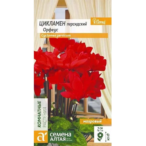 Цикламен махровый Орфеус Семена Алтая изображение 1 артикул 94224