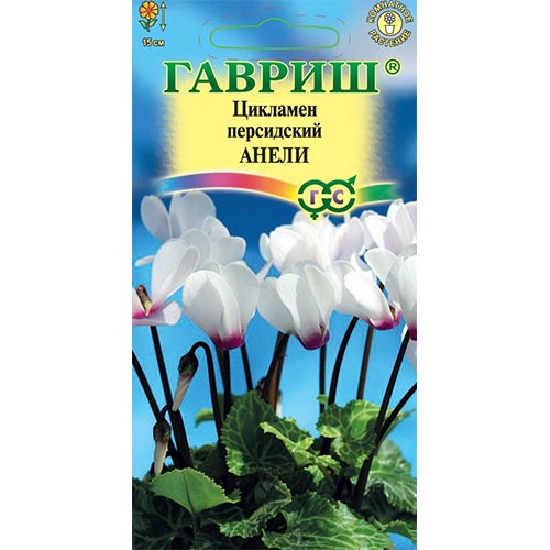 Цикламен персидский Анели Гавриш изображение 1 артикул 92250