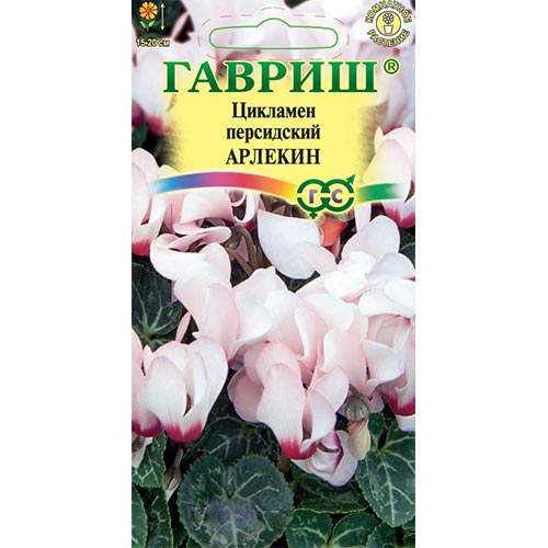 Цикламен персидский Арлекин Гавриш артикул фото 1 Цикламен персидский Арлекин Гавриш изображение 1 артикул 94871