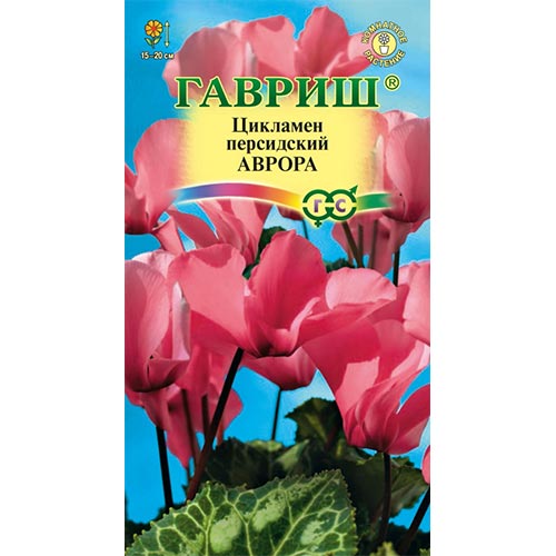 Цикламен персидский Аврора Гавриш изображение 1 артикул 92249