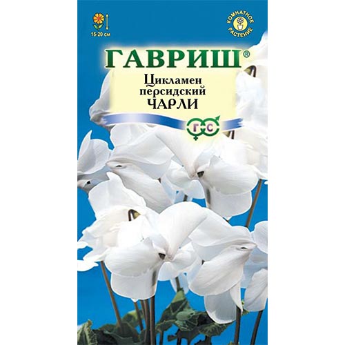 Цикламен персидский Чарли Гавриш изображение 1 артикул 92263