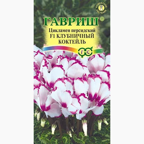 Цикламен персидский Клубничный коктейль Гавриш артикул фото 1 Цикламен персидский Клубничный коктейль Гавриш изображение 1 артикул 97825