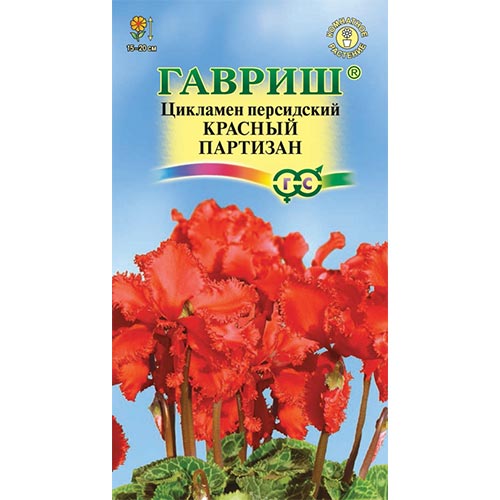 Цикламен персидский Красный партизан Гавриш изображение 1 артикул 92254