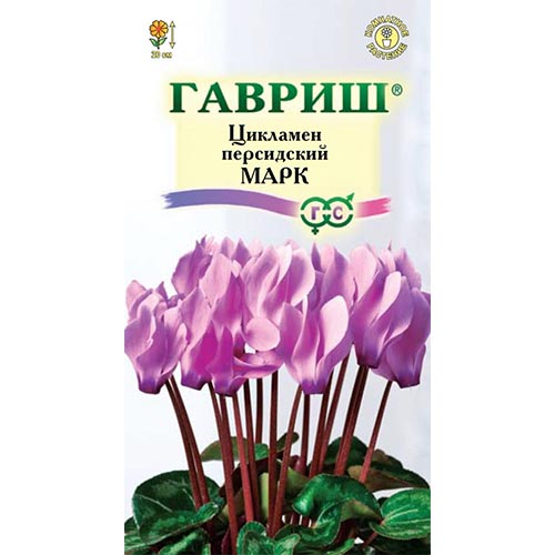 Цикламен персидский Марк Гавриш изображение 1 артикул 92257