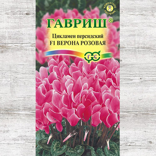 Цикламен персидский Верона розовая F1 Гавриш изображение 1 артикул 82441