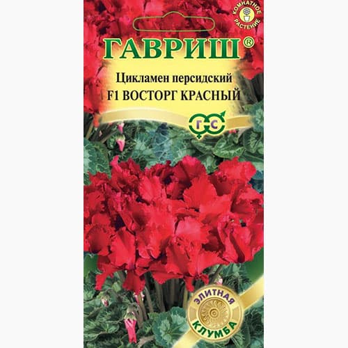 Цикламен персидский Восторг красный F1 Гавриш изображение 1 артикул 97824