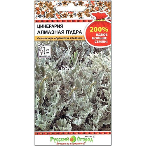 Цинерария Алмазная пудра НК изображение 1 артикул 92647