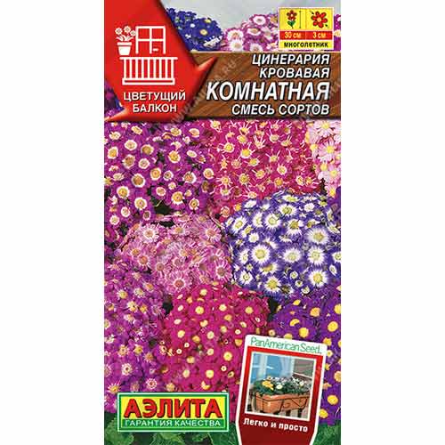 Цинерария кровавая комнатная, смесь окрасок Аэлита изображение 1 артикул 99185