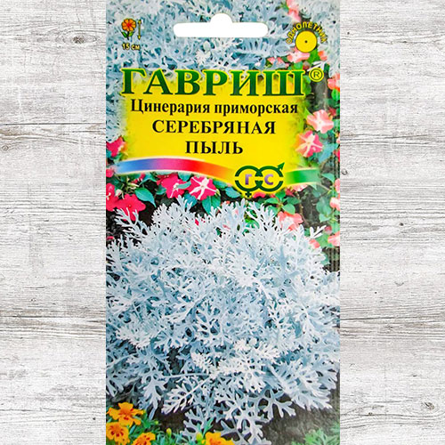 Цинерария Серебряная пыль Гавриш изображение 1 артикул 66150