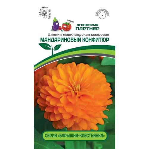 Цинния мариландская махровая Барышня-крестьянка Мандариновый конфитюр Партнер артикул фото 1 Цинния мариландская махровая Барышня-крестьянка Мандариновый конфитюр Партнер изображение 1 артикул 84833