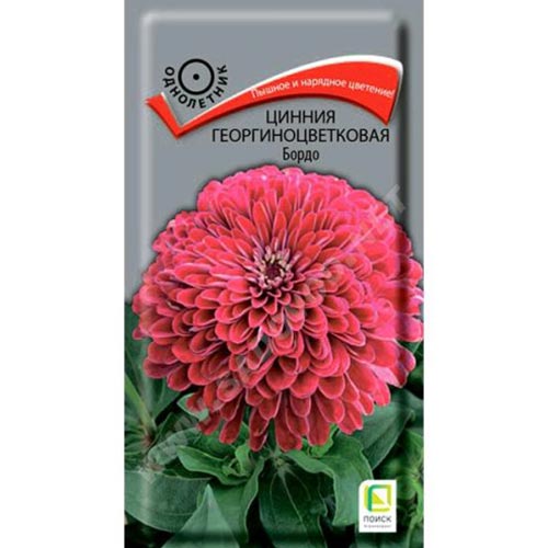 Цинния Бордо Поиск изображение 1 артикул 93151