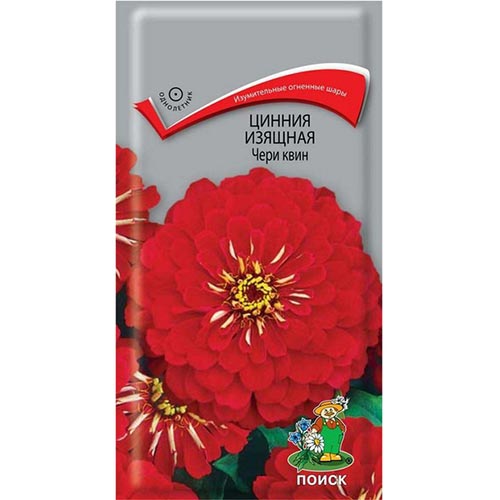 Цинния Чери Квин Поиск изображение 1 артикул 93165